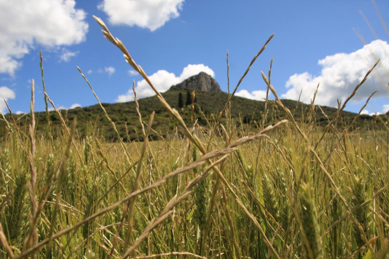 Casa Rural Ezkonberri Unzue Εξωτερικό φωτογραφία